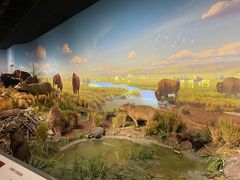 -陕西自然博物馆