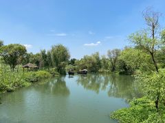 -西溪国家湿地公园