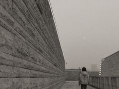 -盘龙城国家考古遗址公园