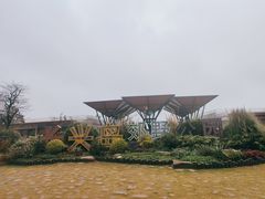 -上海长兴岛郊野公园