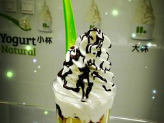-Salud撒露欧洲冻酸奶(北苑上品店)