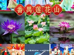 -广州莲花山旅游区