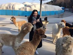 -西霞口神雕山野生动物世界
