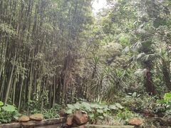 -广州兰圃
