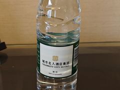 -成都瑞城名人酒店