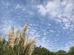 -雀儿山公园