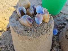 -巧克力渔家.小船海鲜家常菜(万平口店)