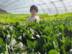 -甜心庄园·甜心草莓采摘园(西青中北店)