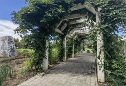 -优沃得自然教育农场·冰雪乐园·生日会·研学