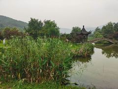 -石塘人家
