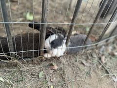 -白马涧龙池景区