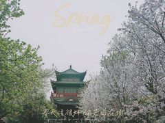 -堤角公园