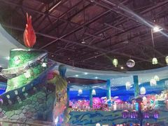 -青岛嘉年华主题乐园