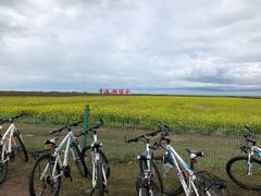 -青海湖国家重点风景名胜区