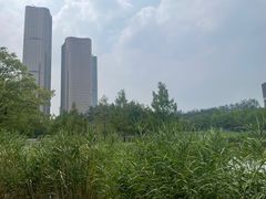 -大望京公园