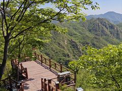 -大岭沟猕猴桃谷风景区