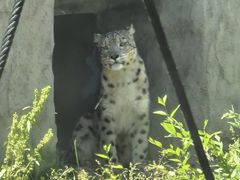 -青藏高原野生动物园
