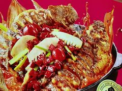 -老板恋上鱼(恒隆广场店)