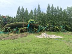 -东平国家森林公园