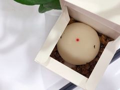 提拉米苏-双风车咖啡馆 Twin Windmills(六道口店)