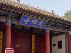 -张掖大佛寺景区