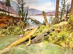 -国家自然博物馆