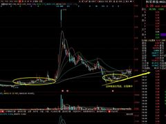 -上海证券交易所(上海证券大厦北塔店)