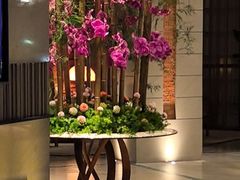 -浅深Cheersum(曹杨店)