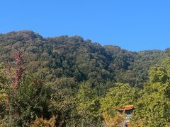 -遵化市禅林寺古银杏风景园