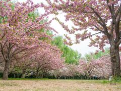 -莲花池公园
