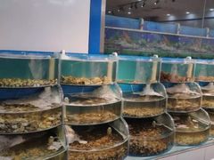 水产区-同道蒸汽海鲜烧烤自助(刘庄夜市店)