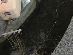 -夏家大锅台炖鱼馆