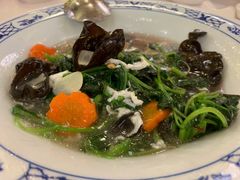 上汤白苋菜-聚春园自助餐厅(东街口店)