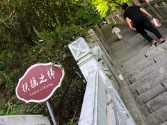 -终南山国家森林公园