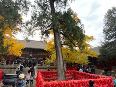 -红螺寺