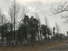 -安徽大学(龙河校区)