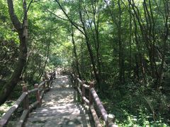 景点-尧治河旅游度假区
