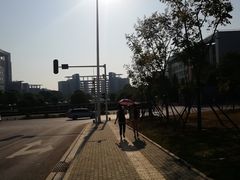 -武汉交通职业学院