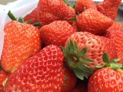 -鲜力达果品批发直销(青山店)