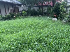-北京德胜门华宇假日酒店·画廊咖啡厅