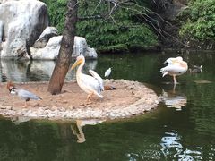 -昆明动物园