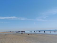 -日照海滨国家森林公园