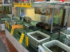 -寻味顺德·南记酒家·传统顺德菜·鱼生(广源路店)