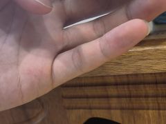 -楼上猫咖(罗湖店)