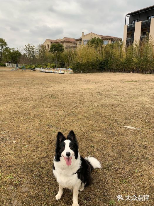 上海崇明金茂凯悦酒店图片