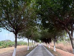 -广东花都湖国家湿地公园