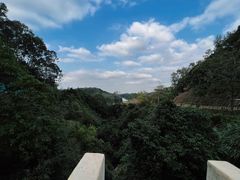 -阳台山森林公园