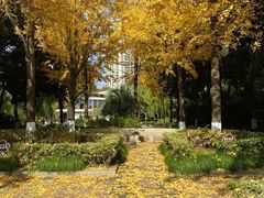 -苏州河梦清园环保主题公园