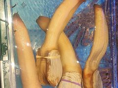 -阿伟海鲜楼·福建菜(延寿店)