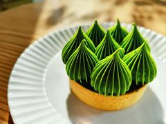 抹茶挞-猫里有甜